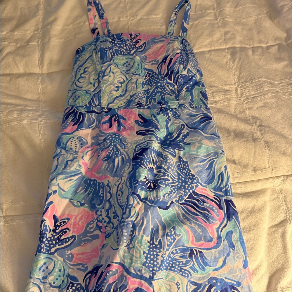 Lilly Pulitzer Blue and Pink Patterned Dress